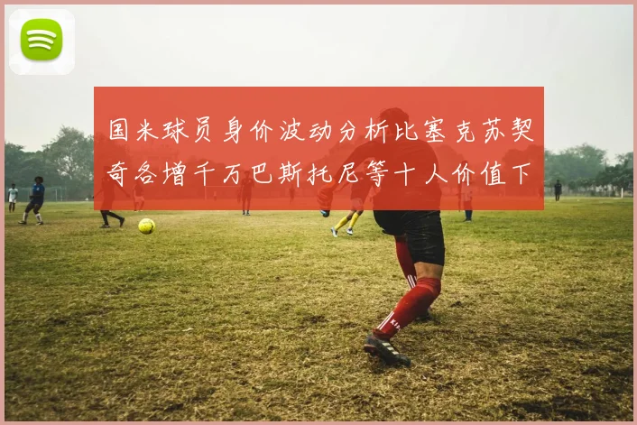 国米球员身价波动分析比塞克苏契奇各增千万巴斯托尼等十人价值下滑