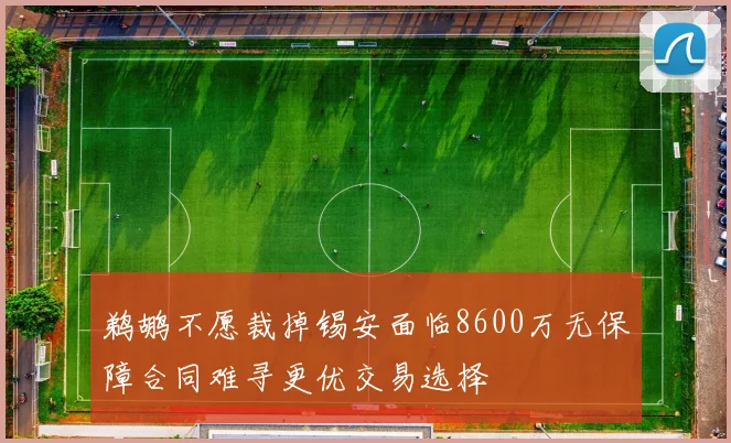 鹈鹕不愿裁掉锡安面临8600万无保障合同难寻更优交易选择