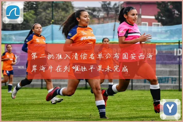 第二批准入清偿名单公布国安西海岸海牛在列唯独平果未完成
